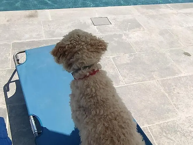 Alojamento de Turismo Rural Cascina Formighezzo *